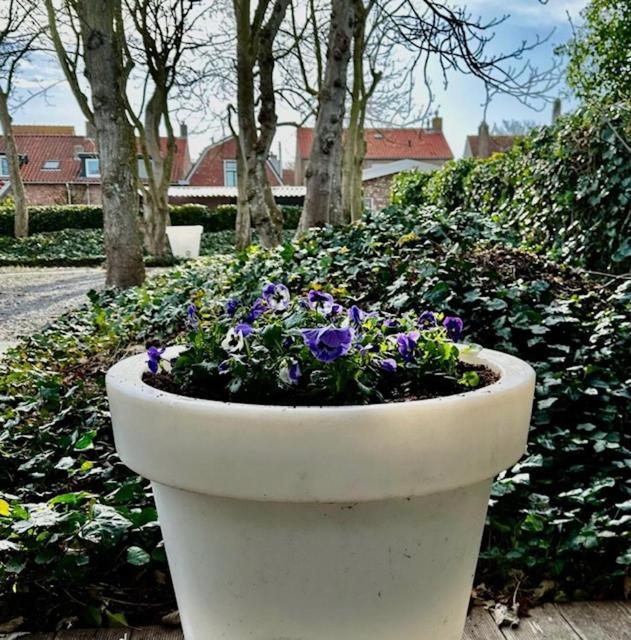 Hello Zeeland - Appartementen Herenstraat 19 - Zee & Zand Domburg Εξωτερικό φωτογραφία